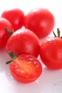 ピヨちゃん撮影1